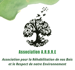 Ecoute l’arbre et la feuille – Association pour la Réhabilitation de nos Bois et le Respect de notre Environnement (A.R.B.R.E)