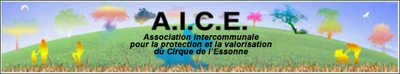 A.I.C.E