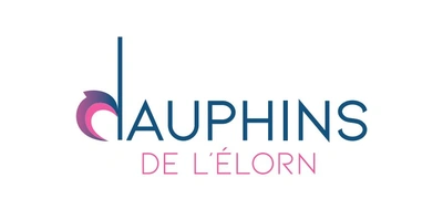 Dauphins de l'Elorn Landerneau