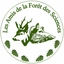 Les Amis de la Forêt des Sciences