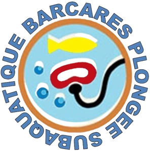 BARCARES PLONGEE