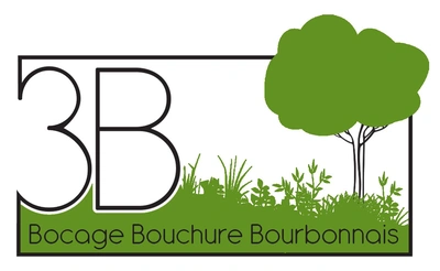 3B Allier