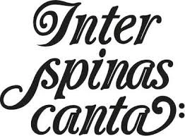 Inter Spinas Canta