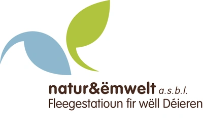 Centre de soins pour la faune sauvage