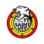 TTSAINT-VIT