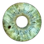 Gnut 06