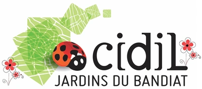 Carrefour pour l'Insertion et le Développement des Initiatives Locales