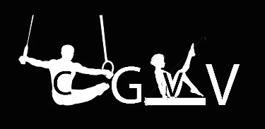 club gymnique de vaulx en velin