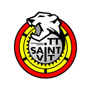 TTSAINT-VIT