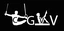 club gymnique de vaulx en velin