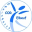 CLUB OMNSPORTS REGION ELBEUVIENNE