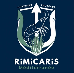 Rimicaris Méditerranée