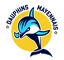 Dauphins Mayennais