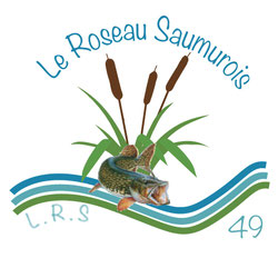 Le Roseau Saumurois