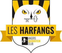 Angers Quidditch Club